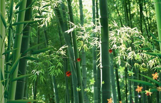 大自然沁人心脾的新鮮空氣，在家也能呼吸到