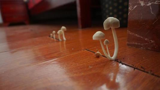 潮濕的地下室對(duì)人體有哪些危害？